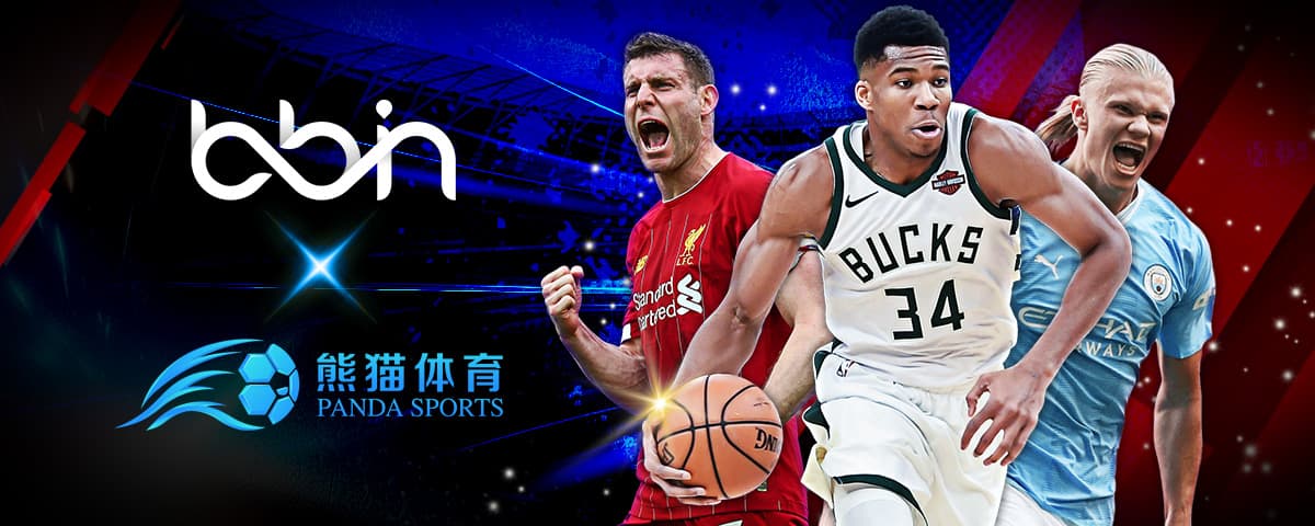 合适的拼图