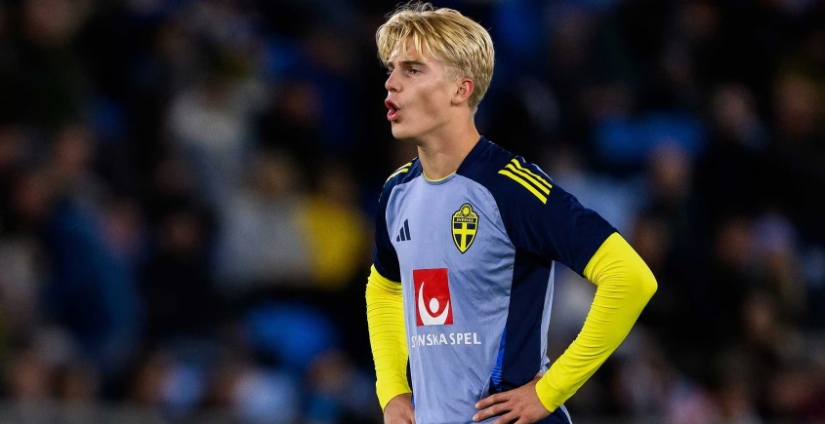 他精准的网 他精准的网